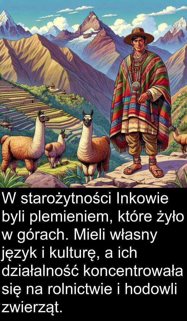 zwierząt: W starożytności Inkowie byli plemieniem, które żyło w górach. Mieli własny język i kulturę, a ich działalność koncentrowała się na rolnictwie i hodowli zwierząt.