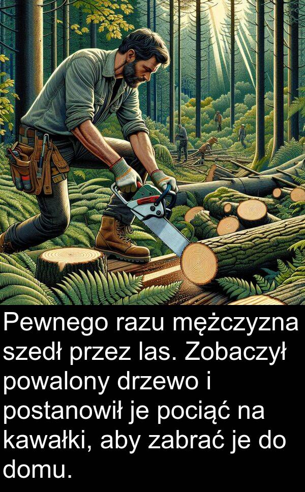 powalony: Pewnego razu mężczyzna szedł przez las. Zobaczył powalony drzewo i postanowił je pociąć na kawałki, aby zabrać je do domu.
