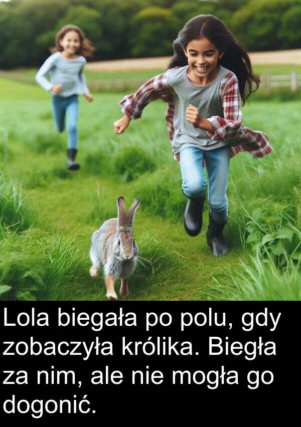 zobaczyła: Lola biegała po polu, gdy zobaczyła królika. Biegła za nim, ale nie mogła go dogonić.