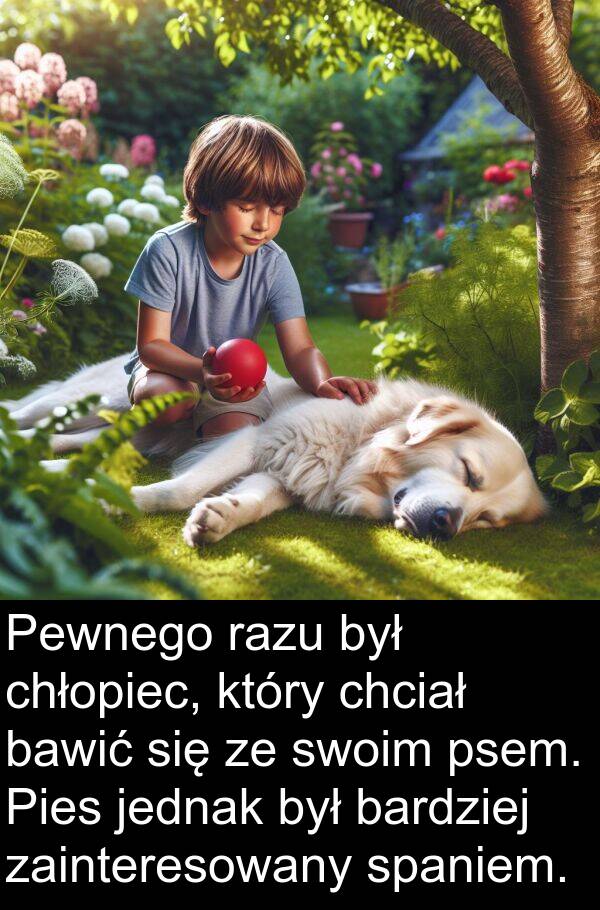 psem: Pewnego razu był chłopiec, który chciał bawić się ze swoim psem. Pies jednak był bardziej zainteresowany spaniem.