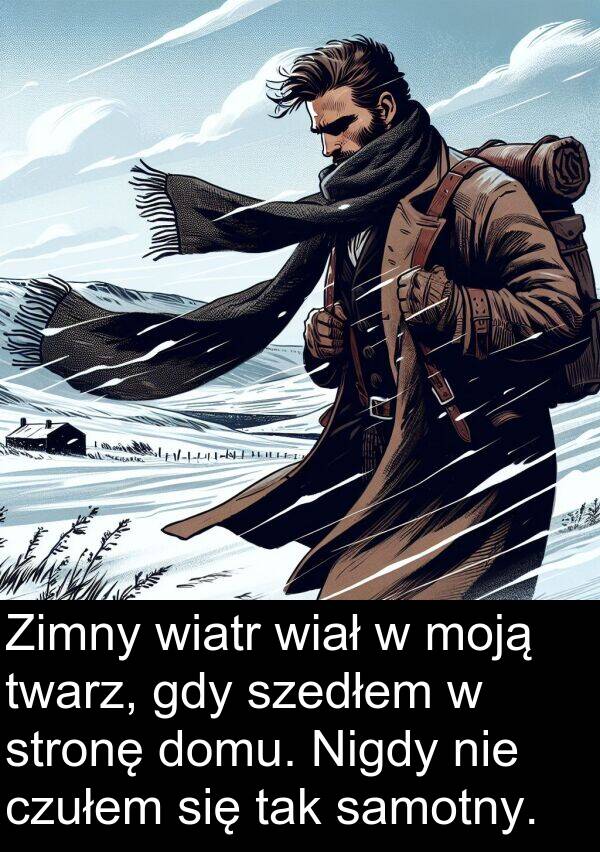 wiatr: Zimny wiatr wiał w moją twarz, gdy szedłem w stronę domu. Nigdy nie czułem się tak samotny.