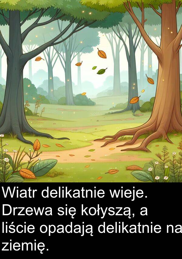 ziemię: Wiatr delikatnie wieje. Drzewa się kołyszą, a liście opadają delikatnie na ziemię.