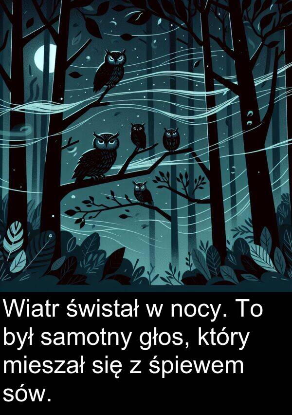 samotny: Wiatr świstał w nocy. To był samotny głos, który mieszał się z śpiewem sów.