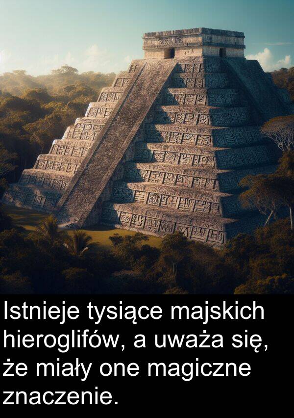 znaczenie: Istnieje tysiące majskich hieroglifów, a uważa się, że miały one magiczne znaczenie.