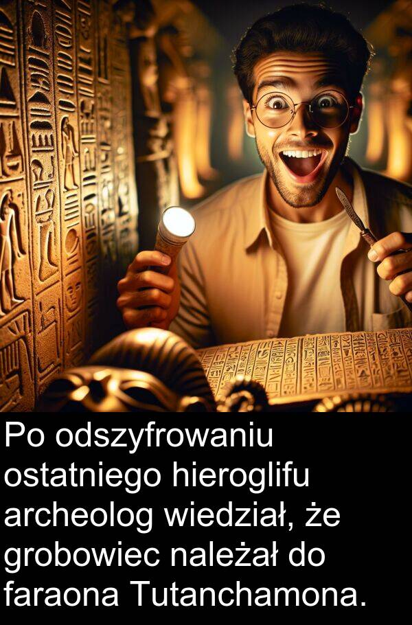hieroglifu: Po odszyfrowaniu ostatniego hieroglifu archeolog wiedział, że grobowiec należał do faraona Tutanchamona.