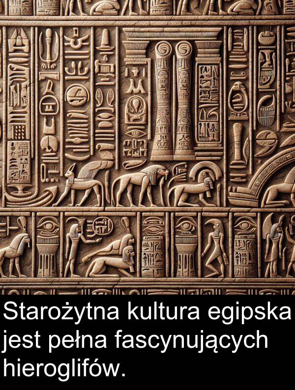 egipska: Starożytna kultura egipska jest pełna fascynujących hieroglifów.