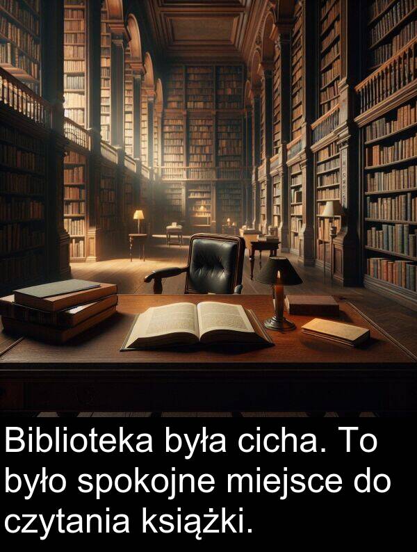 książki: Biblioteka była cicha. To było spokojne miejsce do czytania książki.