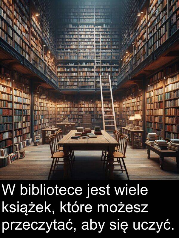 przeczytać: W bibliotece jest wiele książek, które możesz przeczytać, aby się uczyć.