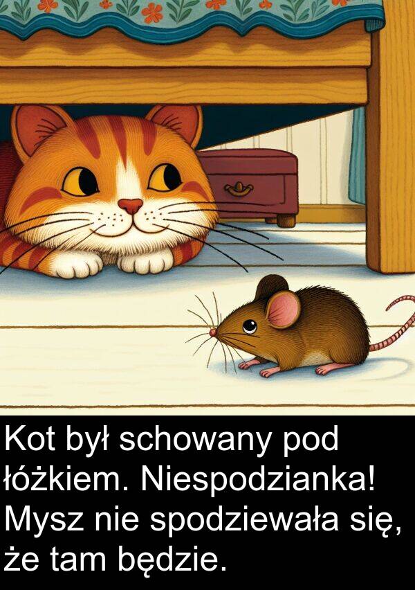 tam: Kot był schowany pod łóżkiem. Niespodzianka! Mysz nie spodziewała się, że tam będzie.