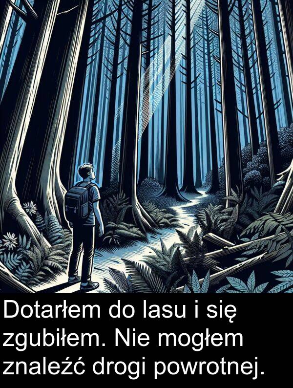 powrotnej: Dotarłem do lasu i się zgubiłem. Nie mogłem znaleźć drogi powrotnej.