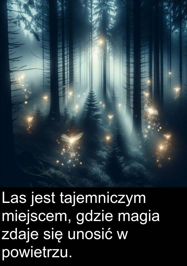 powietrzu: Las jest tajemniczym miejscem, gdzie magia zdaje się unosić w powietrzu.