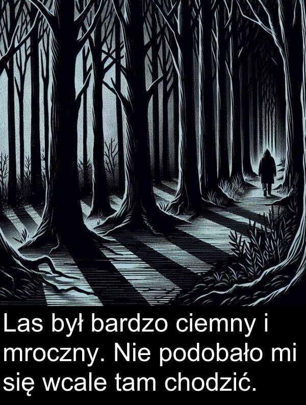 wcale: Las był bardzo ciemny i mroczny. Nie podobało mi się wcale tam chodzić.