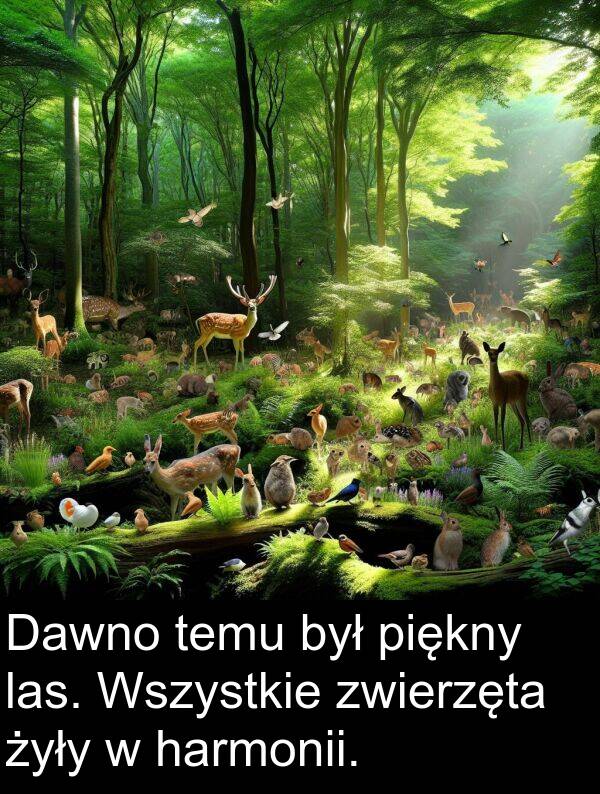 harmonii: Dawno temu był piękny las. Wszystkie zwierzęta żyły w harmonii.
