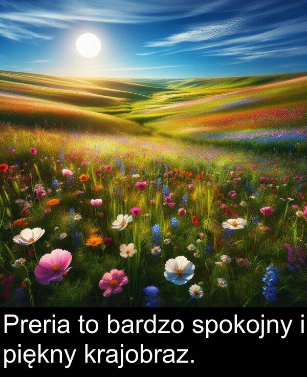 spokojny: Preria to bardzo spokojny i piękny krajobraz.