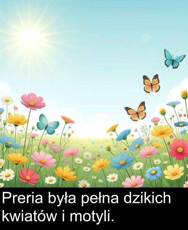 motyli: Preria była pełna dzikich kwiatów i motyli.