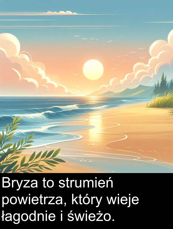 powietrza: Bryza to strumień powietrza, który wieje łagodnie i świeżo.
