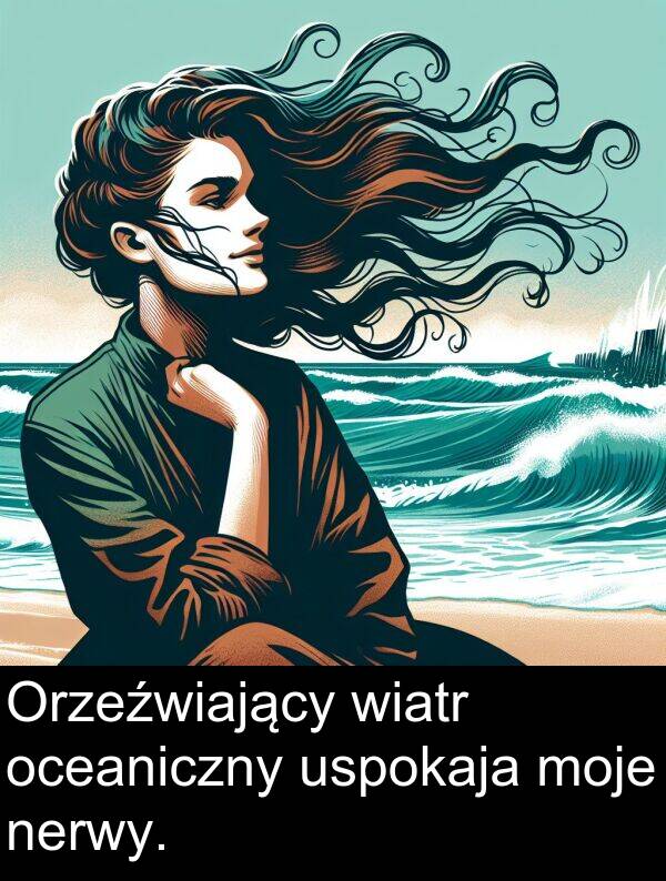 wiatr: Orzeźwiający wiatr oceaniczny uspokaja moje nerwy.