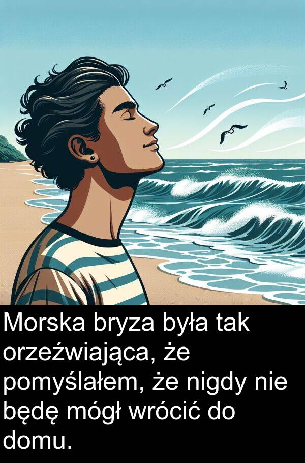 wrócić: Morska bryza była tak orzeźwiająca, że pomyślałem, że nigdy nie będę mógł wrócić do domu.