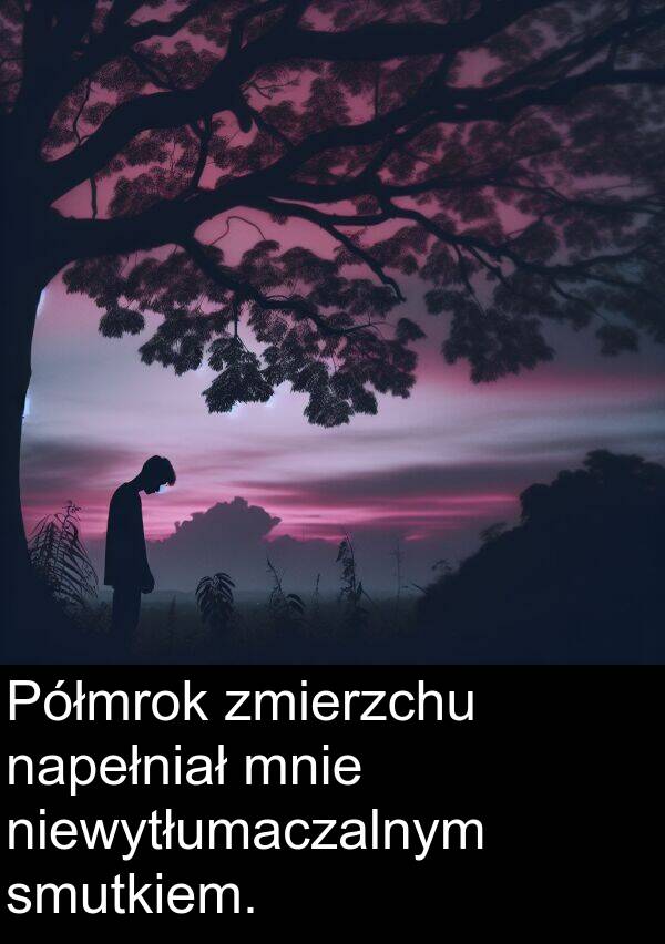 zmierzchu: Półmrok zmierzchu napełniał mnie niewytłumaczalnym smutkiem.