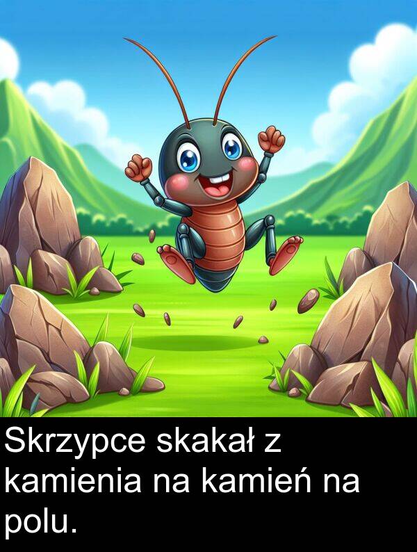 kamień: Skrzypce skakał z kamienia na kamień na polu.