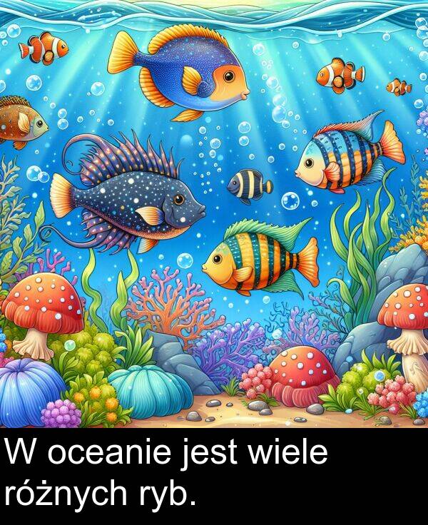 wiele: W oceanie jest wiele różnych ryb.