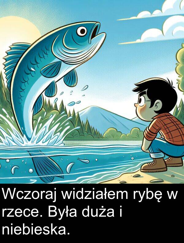 widziałem: Wczoraj widziałem rybę w rzece. Była duża i niebieska.