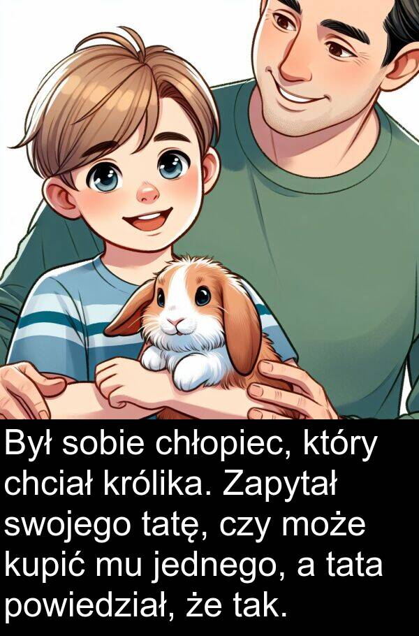 powiedział: Był sobie chłopiec, który chciał królika. Zapytał swojego tatę, czy może kupić mu jednego, a tata powiedział, że tak.