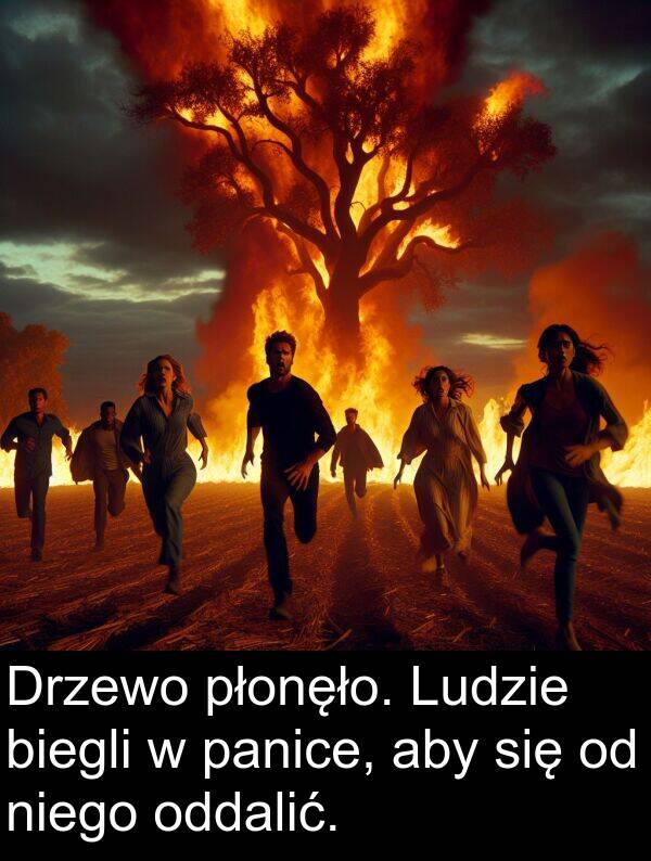 panice: Drzewo płonęło. Ludzie biegli w panice, aby się od niego oddalić.