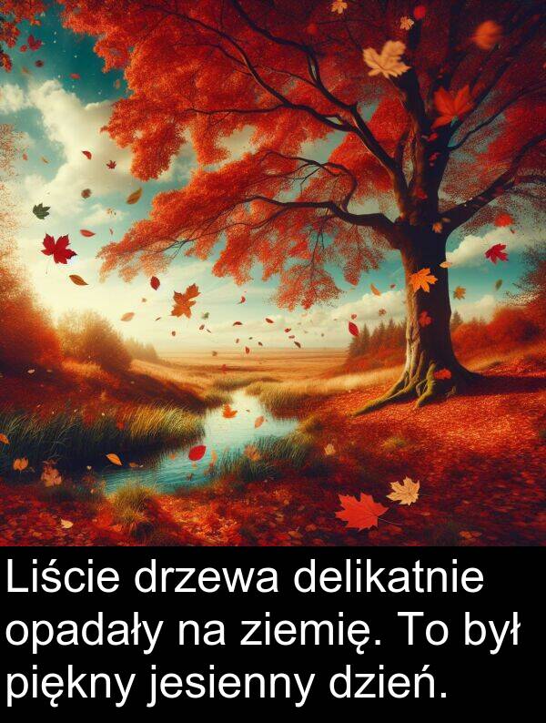 ziemię: Liście drzewa delikatnie opadały na ziemię. To był piękny jesienny dzień.