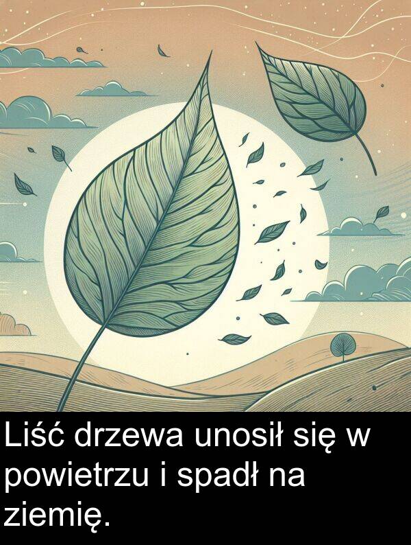powietrzu: Liść drzewa unosił się w powietrzu i spadł na ziemię.