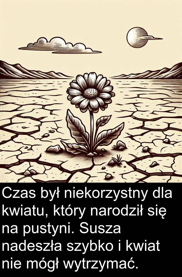 nadeszła: Czas był niekorzystny dla kwiatu, który narodził się na pustyni. Susza nadeszła szybko i kwiat nie mógł wytrzymać.