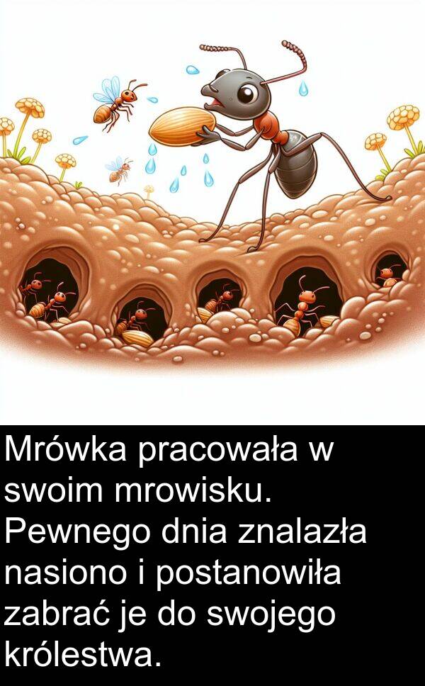 pracowała: Mrówka pracowała w swoim mrowisku. Pewnego dnia znalazła nasiono i postanowiła zabrać je do swojego królestwa.