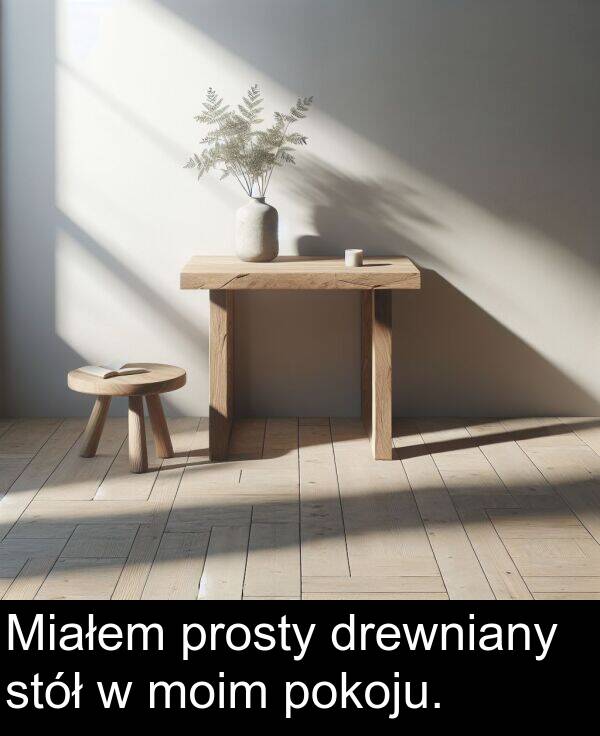 prosty: Miałem prosty drewniany stół w moim pokoju.