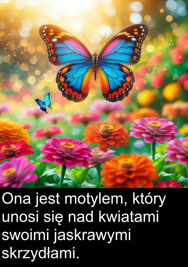 jaskrawymi: Ona jest motylem, który unosi się nad kwiatami swoimi jaskrawymi skrzydłami.