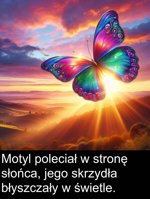 błyszczały: Motyl poleciał w stronę słońca, jego skrzydła błyszczały w świetle.