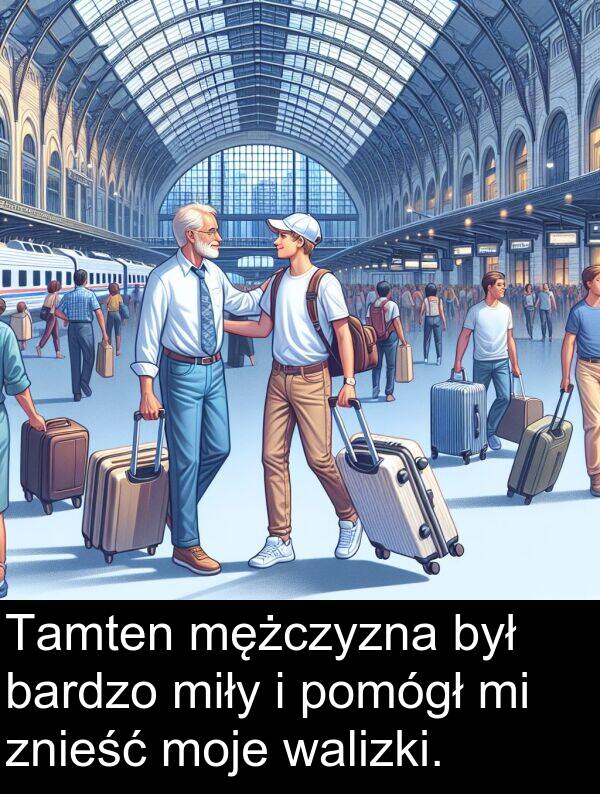znieść: Tamten mężczyzna był bardzo miły i pomógł mi znieść moje walizki.