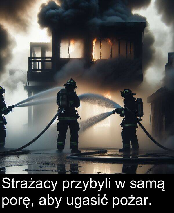 pożar: Strażacy przybyli w samą porę, aby ugasić pożar.