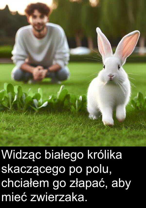 złapać: Widząc białego królika skaczącego po polu, chciałem go złapać, aby mieć zwierzaka.
