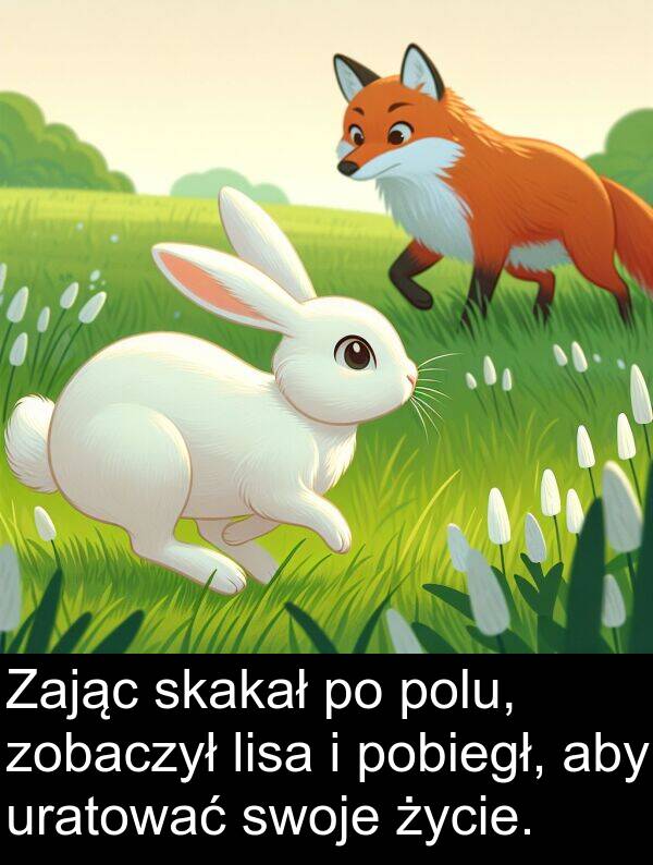 zobaczył: Zając skakał po polu, zobaczył lisa i pobiegł, aby uratować swoje życie.