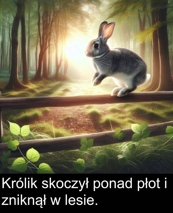 płot: Królik skoczył ponad płot i zniknął w lesie.