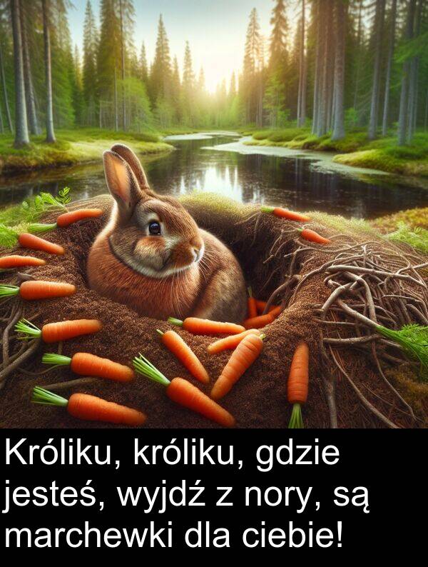 wyjdź: Króliku, króliku, gdzie jesteś, wyjdź z nory, są marchewki dla ciebie!