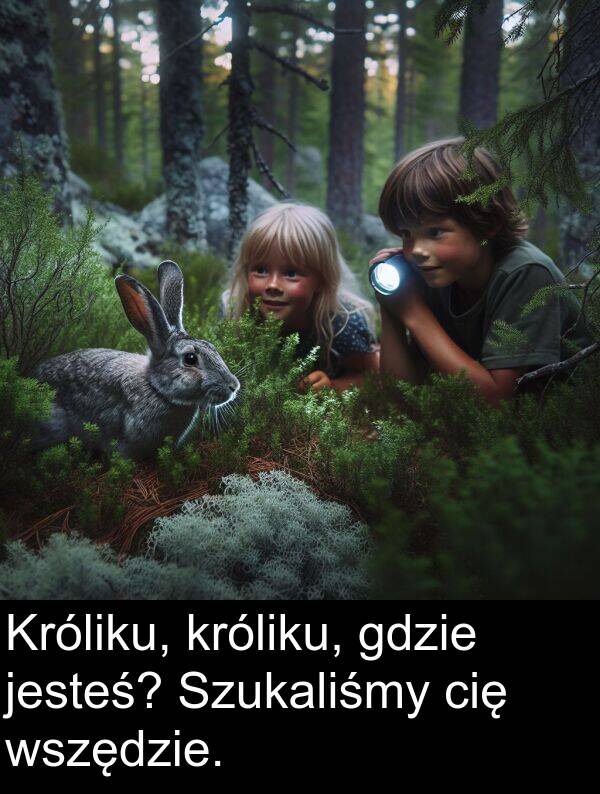 wszędzie: Króliku, króliku, gdzie jesteś? Szukaliśmy cię wszędzie.