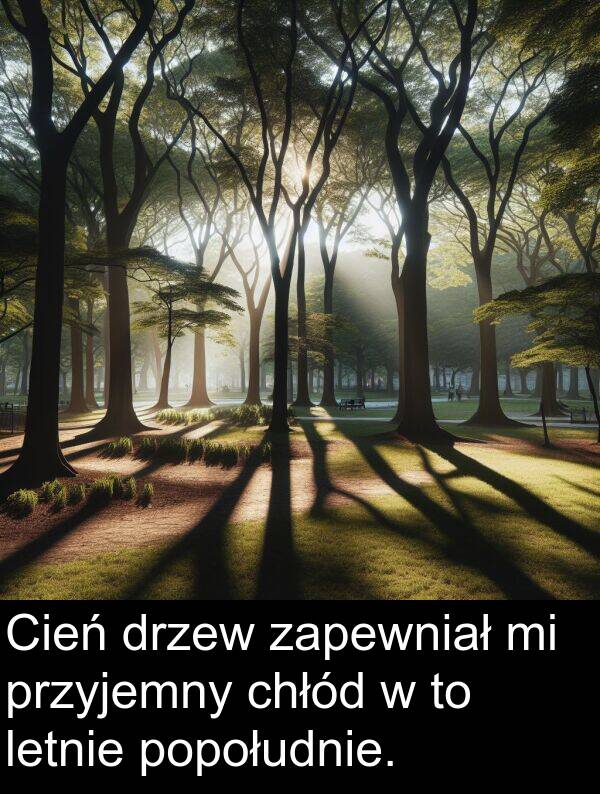 przyjemny: Cień drzew zapewniał mi przyjemny chłód w to letnie popołudnie.