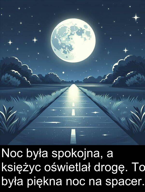piękna: Noc była spokojna, a księżyc oświetlał drogę. To była piękna noc na spacer.
