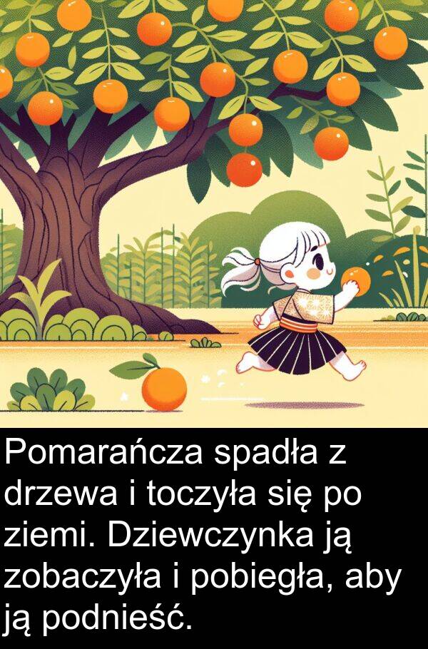 ziemi: Pomarańcza spadła z drzewa i toczyła się po ziemi. Dziewczynka ją zobaczyła i pobiegła, aby ją podnieść.
