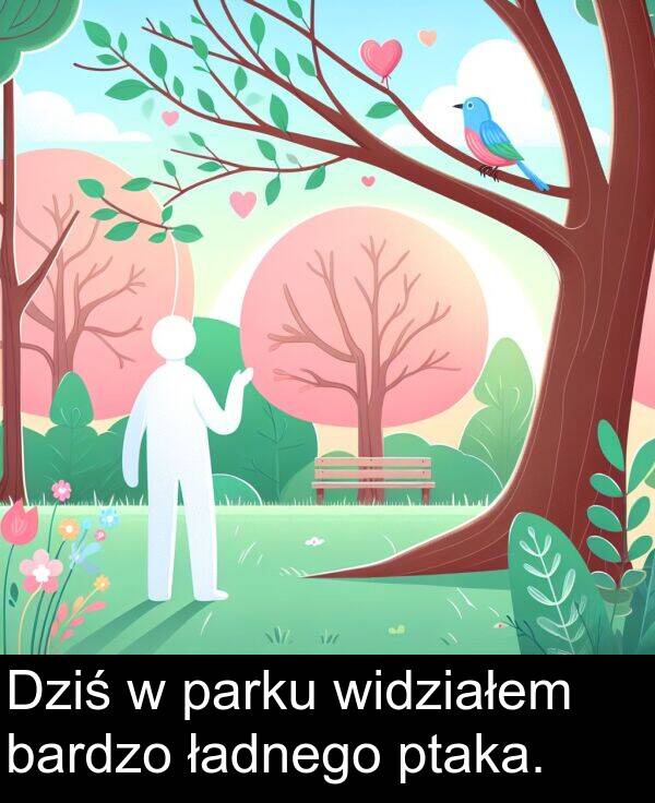 ptaka: Dziś w parku widziałem bardzo ładnego ptaka.