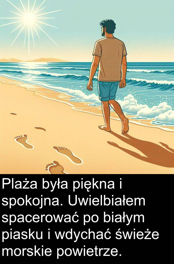 piękna: Plaża była piękna i spokojna. Uwielbiałem spacerować po białym piasku i wdychać świeże morskie powietrze.