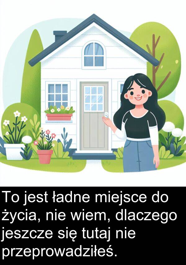 przeprowadziłeś: To jest ładne miejsce do życia, nie wiem, dlaczego jeszcze się tutaj nie przeprowadziłeś.