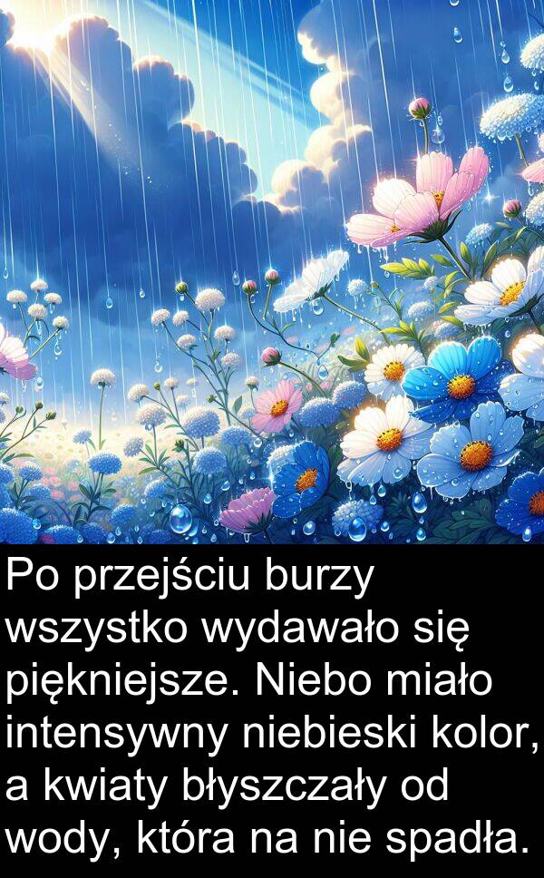 piękniejsze: Po przejściu burzy wszystko wydawało się piękniejsze. Niebo miało intensywny niebieski kolor, a kwiaty błyszczały od wody, która na nie spadła.