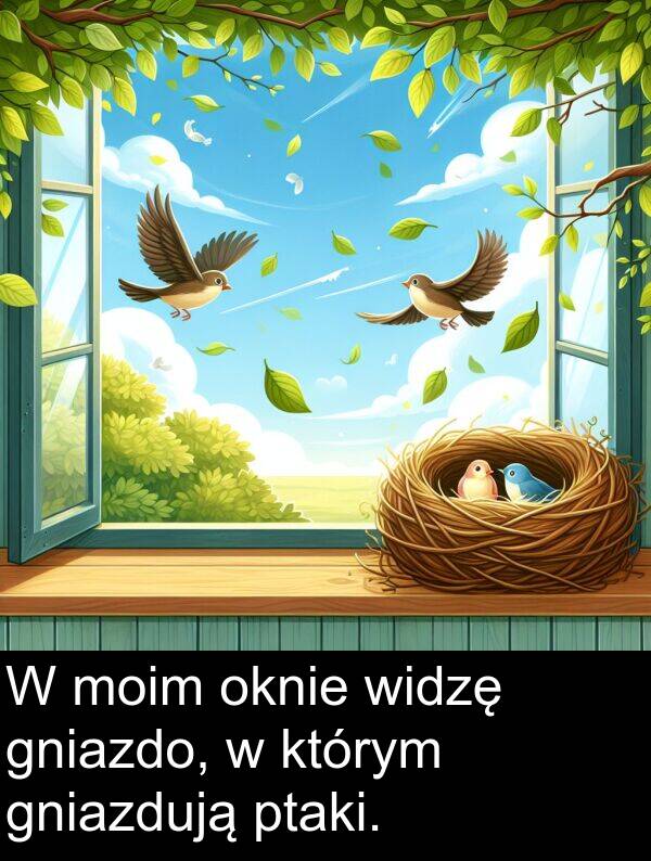 widzę: W moim oknie widzę gniazdo, w którym gniazdują ptaki.
